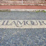 Amora Sacha